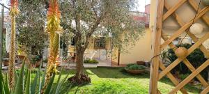 A garden outside Casa in giardino