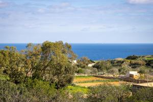 a view of a field with the ocean in the background at Il figolla farmhouse in Xagħra