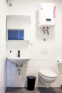 une salle de bain blanche avec un lavabo et des toilettes dans l'établissement Apartment Luise by Interhome, à Mirow