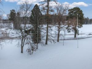ein schneebedecktes Feld mit Bäumen und Bäumen in der Unterkunft Holiday Home Kylpylä-hotelli- room 448 by Interhome in Ikaalinen