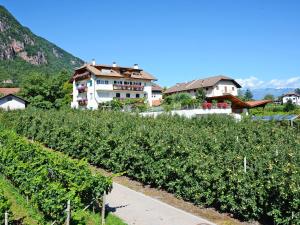 a view of a vineyard with a house in the background at Apartment Rosengartenhof-5 by Interhome in Andrian