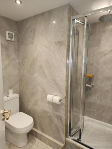 a bathroom with a toilet and a glass shower at CITY CENTRE LUXURY House WITH THREE VERY LARGE SIZE BEDROOMS in Belfast