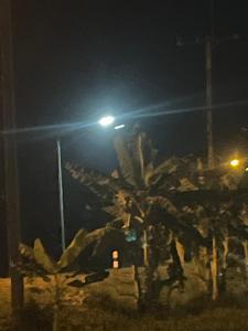 a street light and a palm tree at night at Tkp in Ban Map Pla Khao