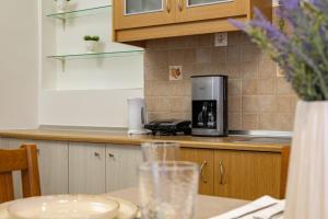 A kitchen or kitchenette at Vasiliki house