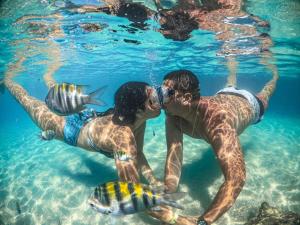 Hosté ubytování Flor de Lótus Privilege + 8 fotografií