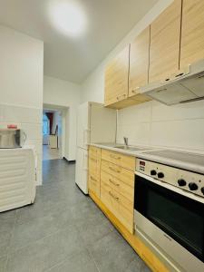 Kuchyňa alebo kuchynka v ubytovaní Amazing 2BR Apartment Near Praterstern + 28 fotografií
