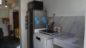 a kitchen with a refrigerator and a counter top at Votre terrasse vue mer sous la vigne, un havre de paix in Ensuès-la-Redonne +18 photos