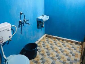 a blue bathroom with a toilet and a sink at Coconut Grove Palolem in Canacona