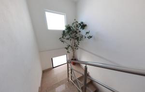 a staircase with a plant in the middle of a building at Beautiful Apartment In Podstrana in Podstrana +11 photos