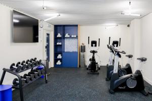 a gym with treadmills and exercise bikes in a room at Holiday Inn Express & Suites Ghent by IHG in Ghent