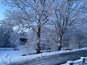 a group of trees covered in snow next to a road at Petit Studio du Horst Bach in Wimmenau