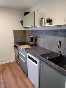 a kitchen with a sink and a counter top at TinyWohnung im Pott in Castrop-Rauxel