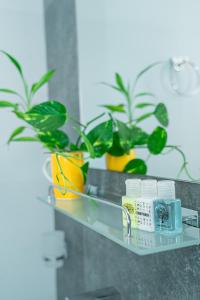 Fotografie z fotogalerie ubytování Mo Green v destinaci Kandy