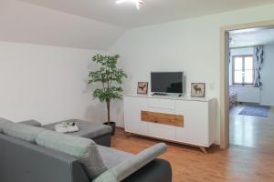 Televízia a/alebo spoločenská miestnosť v ubytovaní Appartement Premsteingut