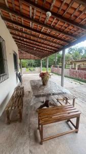 a patio with two wooden benches and a table at Paraíso in Benfica +12 photos