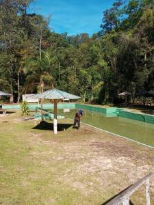 a person standing next to a pool with a dog at Paraíso in Benfica +12 photos