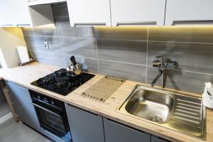 Kuchnia lub aneks kuchenny w obiekcie Cracow nest - 2 separate rooms, heart of Kazimierz
