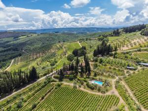 an aerial view of a vineyard in the hills with trees at Holiday Home San Rocco-3 by Interhome in Greve in Chianti