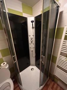 a shower stall in a bathroom with a toilet at Apartments Bílina in Teplice +7 photos