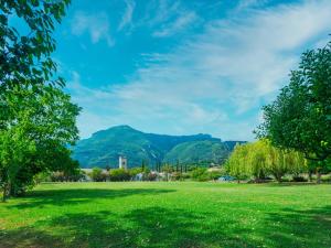 a green field with mountains in the background at Holiday Home I Pioppi - CMA109 by Interhome in Camaiore