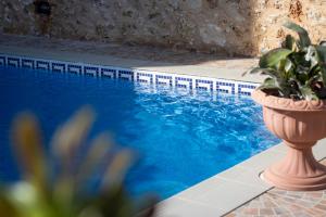 a blue swimming pool with a plant in a vase at Il figolla farmhouse in Xagħra