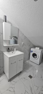 伊加洛Taksim Apartman 1的带水槽和洗衣机的浴室