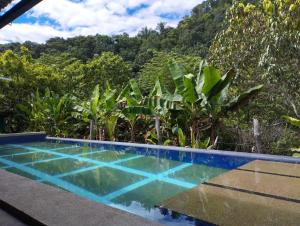 ein Schwimmbad mit Blick auf einen Wald in der Unterkunft Villa mathi in Anapoima