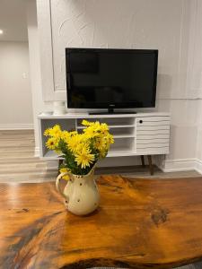 TV a/nebo společenská místnost v ubytování Luxurious and Spacious Apartment with 2 bedrooms and 2 Baths