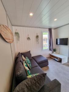 TV a/nebo společenská místnost v ubytování Sous la canopée - le calme au bord du lac
