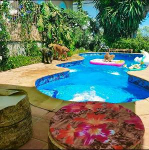 a water park with two animals in a pool at Valencia, villa, piscina privada, junto A-7 cerca de playas, aeropuerto, Cheste in Torrent