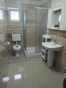 a bathroom with a shower and a toilet and a sink at Apartman Lucija in Jezera
