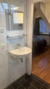 a bathroom with a sink and a glass shower at Bed en Breakfast 1394 in Nederhorst den Berg