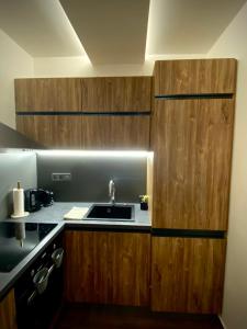 a kitchen with a sink and wooden cabinets at Pegazus Apartman in Keszthely +39 photos