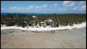 an aerial view of an island with trees on a beach at Tematavainui lodge in Tikehau Airport