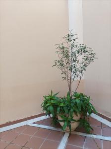 Gallery image of Apartamento de Lux Sevilla Este in Seville