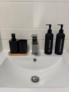 a bathroom sink with two bottles on top of it at Jolie T2, 55 m, centre ville soultz in Soultz-Haut-Rhin +25 photos