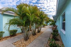 Zahrada ubytování Close to Clearwater Beach and Honeymoon Island! + 18 fotografií