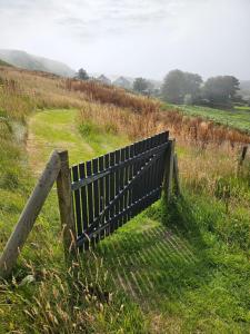 a bench sitting in the grass in a field at Faodail 'a lucky find' in Dunbeath
