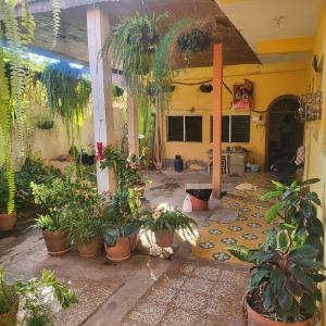 Vườn quanh Hospedaje doña Gladys