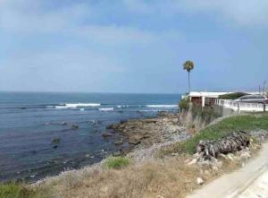 a group of animals standing next to the ocean at Beach cozy fresh vibes RV in Ensenada