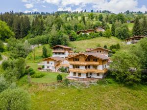 widok z góry na dom na wzgórzu w obiekcie Alpensteinbock Saalbach A w Saalbach Hinterglemm