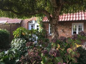 a brick house with a tree in front of it at Hüs in`t Dörp in Oevenum