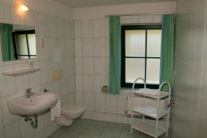 Ένα μπάνιο στο Ferienhaus Eibe am Jabeler See 7c