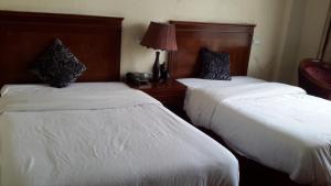亚的斯亚贝巴FT Hotel的一间有两张床和一盏灯的酒店房间