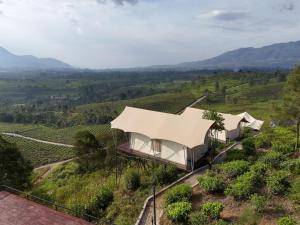 a house on a hill in a vineyard at Nimo Tea Resort in Tanara