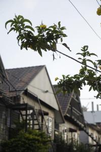 Hoone, kus kuurort asub