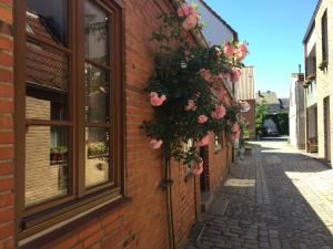a brick alley with flowers on the side of a building at Ferienhaus Sprottenfang in Eckernförde