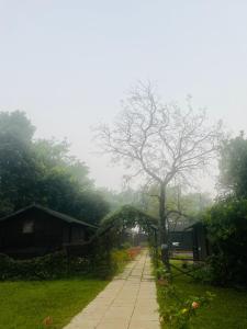 Fotografie z fotogalerie ubytování Cocorico Stay Ya! Cottages Alibag v destinaci Alibag