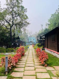 Zahrada ubytování Cocorico Stay Ya! Cottages Alibag