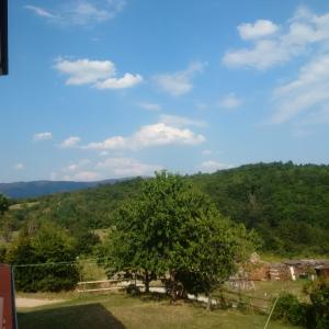 Příroda nedaleko bed and breakfast